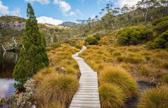 Tasmania's Best National Parks