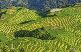 East Asia