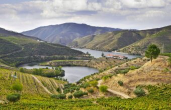 Douro Valley