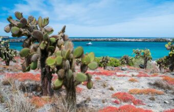 The best time to visit the Galapagos Islands
