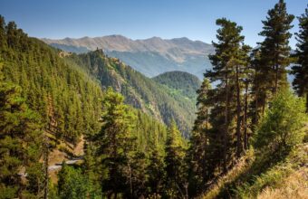 Tusheti