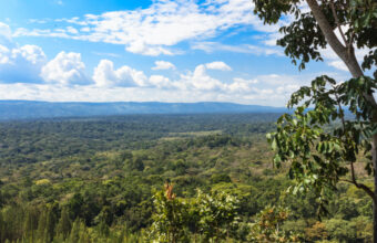 Kakamega Forest Reserve