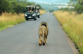Pilanesberg National Park