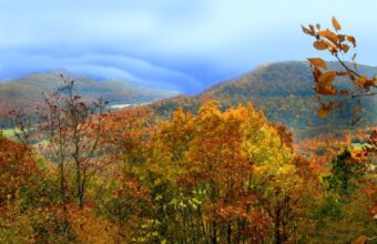 Chicago To The Ozarks Road Trip