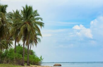 Diving & snorkelling on the eastern coast