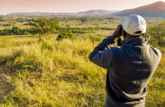 The best time for safari in South Africa