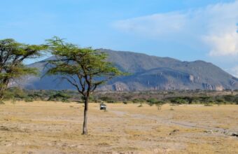 Buffalo Springs & Samburu safaris