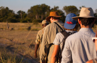 South Luangwa National Park
