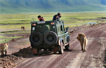 The best safaris in Tanzania