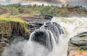 Uganda's Big Game and Gorillas