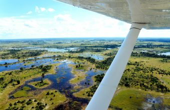 Discover Botswana Safari