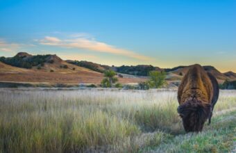 The Best Midwest National Park Road Trips