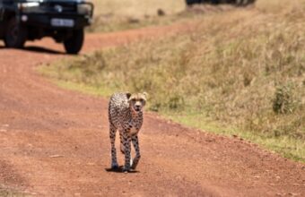 Kenya: South to North