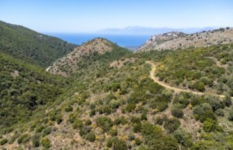 The Corfu Trail