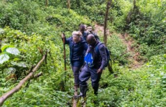 Bwindi Gorilla Trek