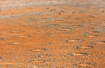 Horse ride (or ebike) past fairy circles at Wolwedans