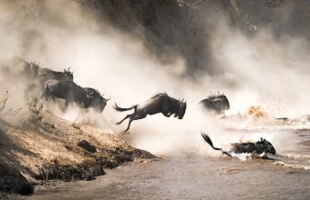 Kenya: North to South