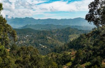 Off the beaten path in tea country