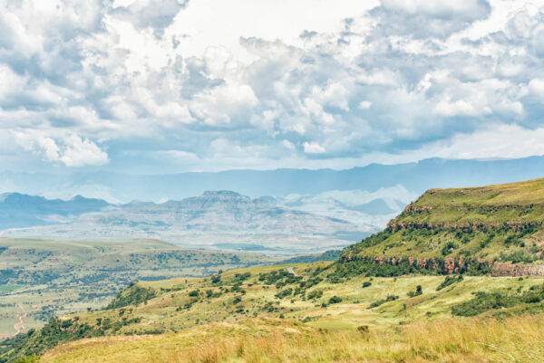 The Best Safaris In Kwazulu-Natal