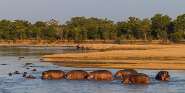 Luambe National Park