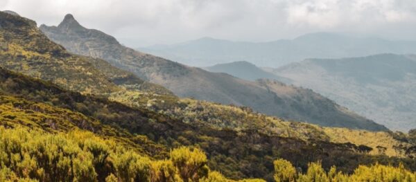 Hiking in Kenya's Aberdares