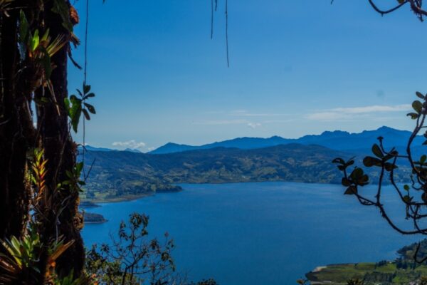 Pasto