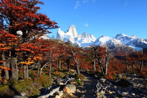 Cross-border Patagonia