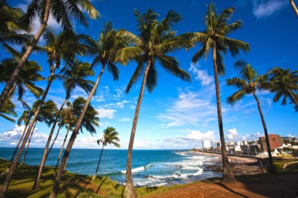 Afro-Brazilian Bahia and Rio