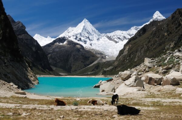 The Best Cordillera Blanca Treks