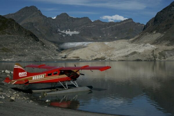 Things To Do In Denali National Park