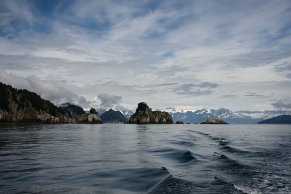 What To Do In Prince William Sound And Kenai Fjords National Park