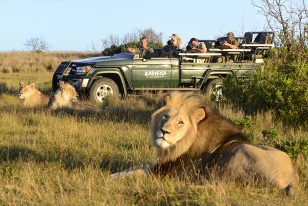 Best Eastern Cape Safaris & Game Reserves