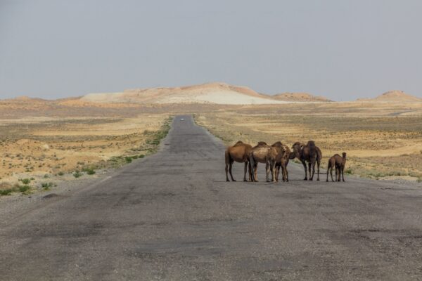 Visiting The Karakum Desert