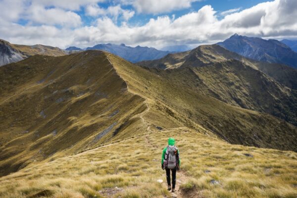 Kepler Track