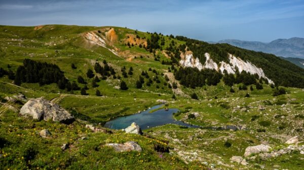 High Scardus Trail