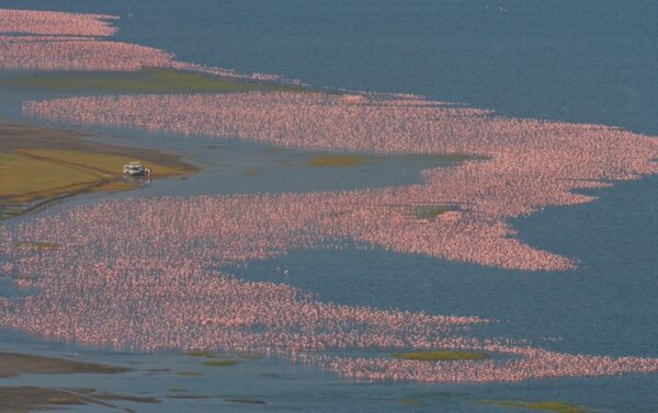 Lake Bogoria National Reserve