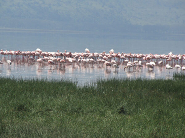 Lake Mburo National Park