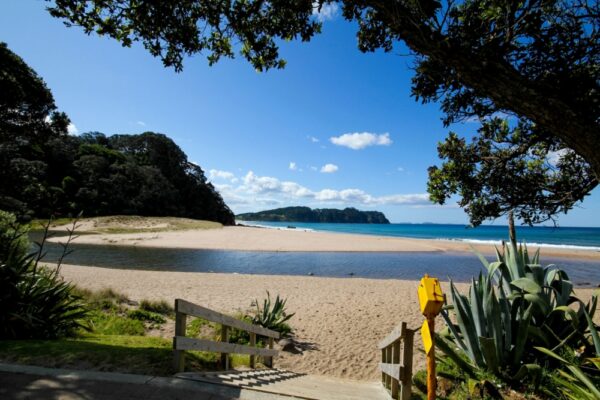 Coromandel Coastal Walkway day hike