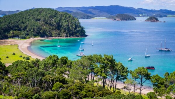 Bay of Islands and South Island escape