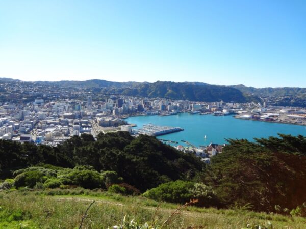 Enjoy panoramic views from Mount Victoria