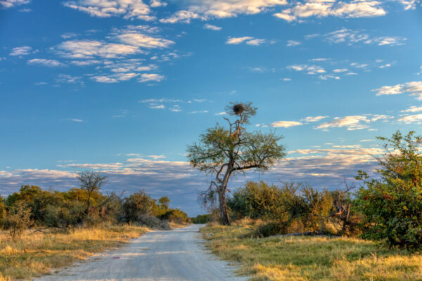 Okavango Panhandle