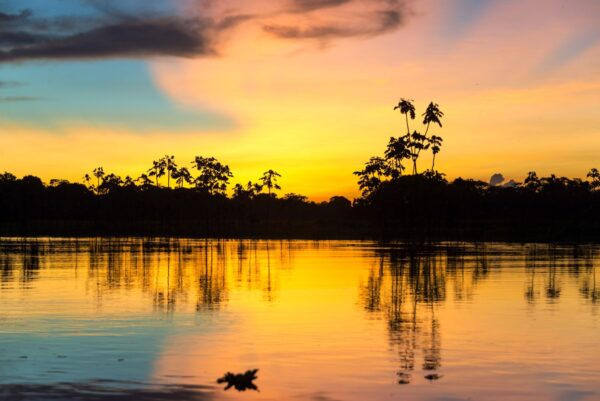 Machu Picchu & Amazon cruise
