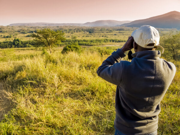 When to go on safari in South Africa