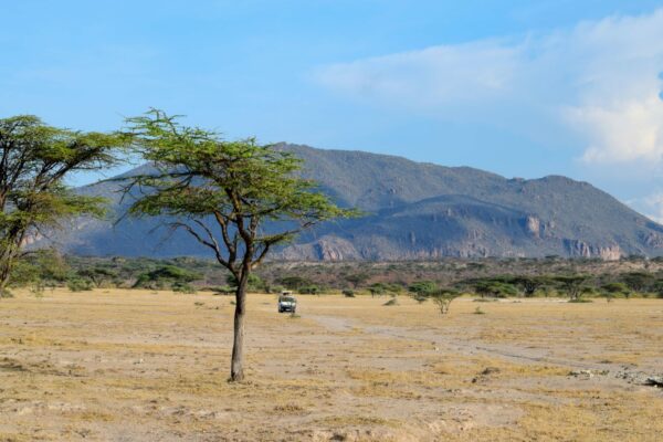 Safari In Samburu, Buffalo Springs & Shaba National Reserves