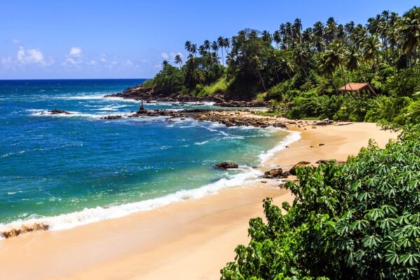 Southern Sri Lanka experience