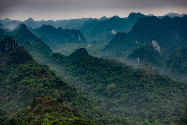 Cat Ba National Park