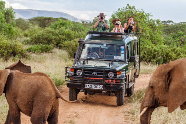 Masai Mara safaris