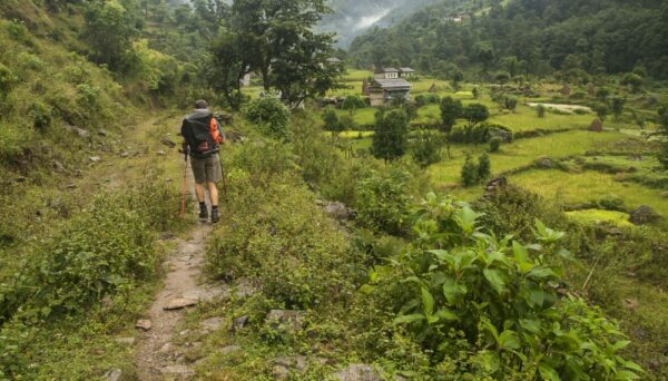 Easy treks in Nepal