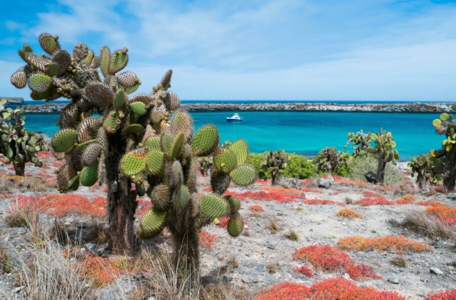 When to visit the Galapagos Islands - Horizon Guides