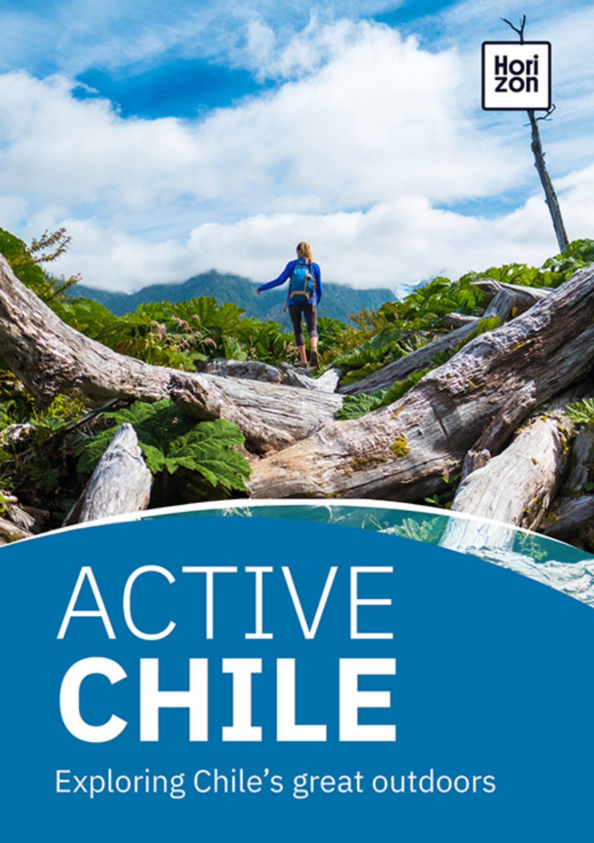 Active Chile